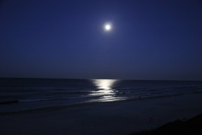 Florida moonrise