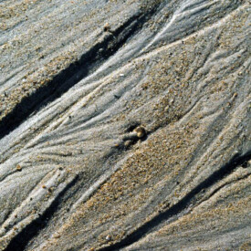 Abstract of frozen Cape Cod beach sand